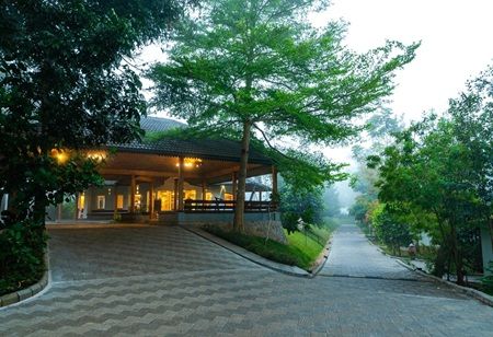 Sterling Wayanad Launches 
